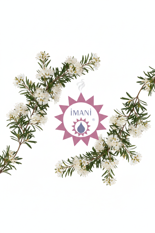 Imani Kunzea Essential Oil