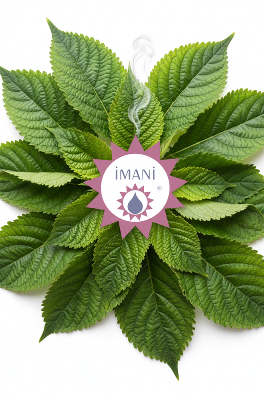 Imani Patchouli Essential Oil - Leaves Only
